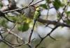 213531 – Photo : E. le Pommelet – France (07)