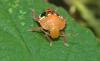214779 – Photo : Bartolome Joseph – France (42)
