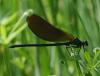 214434 – Photo : Patrick Bouvier – France (12)