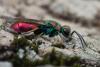 214138 – Photo : Jessica Joachim – France (09)