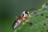 214479 – Photo : Didier Houbrechts – Belgique