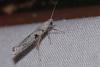 214745 – Photo : Matthias Colin – France (34)