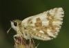 214610 – Photo : Yoann Pelouard – France (74)