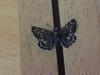 214242 – Photo : Limenitis78 – France (04)