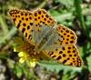 214831 – Photo : Patrick Bouvier – France (66)
