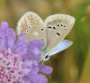 214403 – Photo : Yoann Pelouard – France (74)