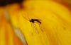 214374 – Photo : Daniel Philippe – France (47)