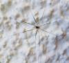 214358 – Photo : Daniel Philippe – France (47)