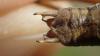 214746 – Photo : vincent thary – Canada