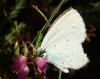 214470 – Photo : Catherine Reymonet-Smitten – France (19)