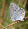 214815 – Photo : Catherine Reymonet-Smitten – France (19)