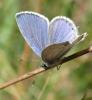 214816 – Photo : Catherine Reymonet-Smitten – France (19)