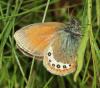 214543 – Photo : Yoann Pelouard – France (74)