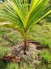 214493 – Photo : Bernard Perthuis – Guyane française