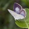 214878 – Photo : Eugène Vandebeulque – France (45)