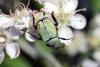 214395 – Photo : Vincent Derreumaux – France (26)