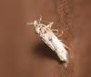 214967 – Photo : Matthias Colin – France (85)