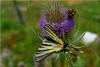 214496 – Photo : Adrien – France (04)