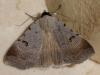 214271 – Photo : Denis Poirier – France (74)