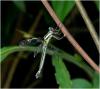214549 – Photo : Benoit Guillon – Vietnam