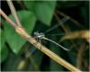 214548 – Photo : Benoit Guillon – Vietnam