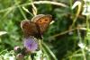 215794 – Photo : Nicolas Alric – France (05)