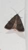 215106 – Photo : melchior Viallet – France (31)