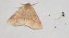 215430 – Photo : melchior Viallet – France (31)