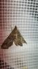 215618 – Photo : melchior Viallet – France (31)