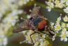 215697 – Photo : Pierre Duhem – France (73)