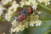 215696 – Photo : Pierre Duhem – France (73)