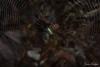 215760 – Photo : Jean Roger – Mayotte