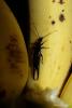 215000 – Photo : Jean Roger – Mayotte