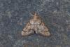 215588 – Photo : Johan Verstraeten – Espagne