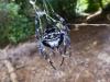 215982 – Photo : Jean Roger – Madagascar