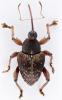 215010 – Photo : Mickael Francois – Sierra Leone