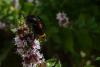 215342 – Photo : Nicolas Alric – France (12)