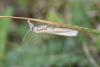 215380 – Photo : Michel Mathieu – France (64)