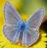 215375 – Photo : Alain Gérard – France (31)