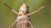 215048 – Photo : vincent thary – Canada