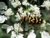 215715 – Photo : Lionel Casset – Grèce