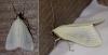 215646 – Photo : Vincent VALLI – France (22)