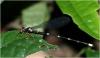 215795 – Photo : Benoit Guillon – Vietnam