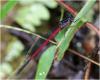 215738 – Photo : Benoit Guillon – Vietnam