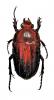 215449 – Photo : Scarab63 – Togo