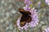 216015 – Photo : Michel Renou – France (26)