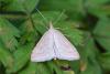 216999 – Photo : Pierre Duhem – France (73)
