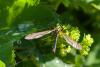 216834 – Photo : Pierre Duhem – France (73)