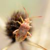 216970 – Photo : Liliane Delattre – France (30)