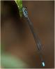 216408 – Photo : Benoit Guillon – Vietnam